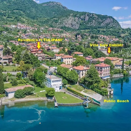 Tulipani 1